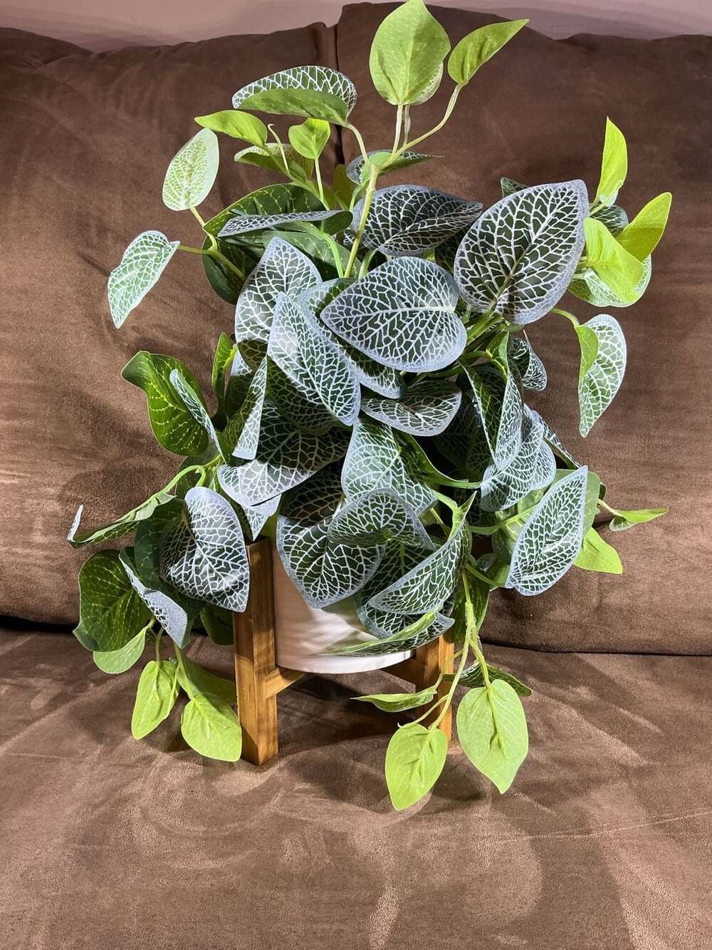 Artificial Fittonia Plant in White Ceramic Pot with Wood Stand 15 in.